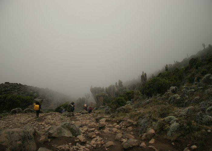 kilimanjaro snow