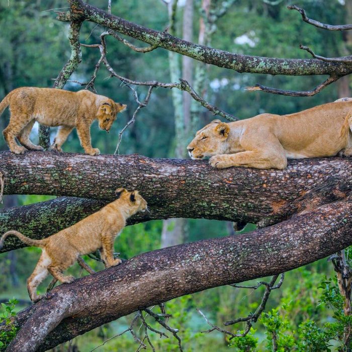 lake manyara