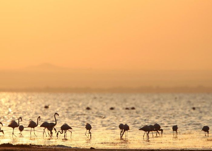 lake-manyara