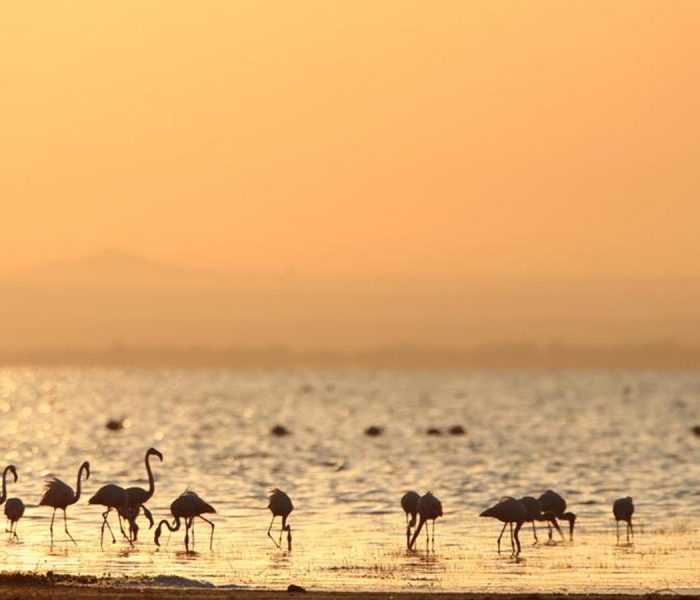 lake-manyara