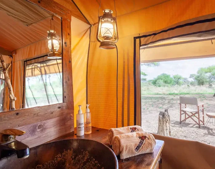 lamp baobab