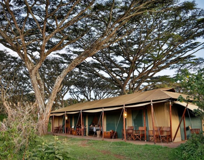 lemala tented camp ngoro