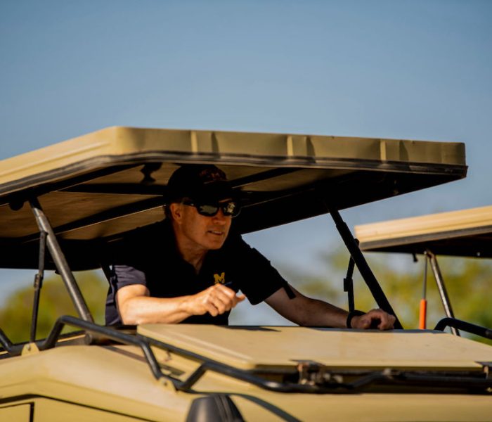 leopard tanzania luxury safari2