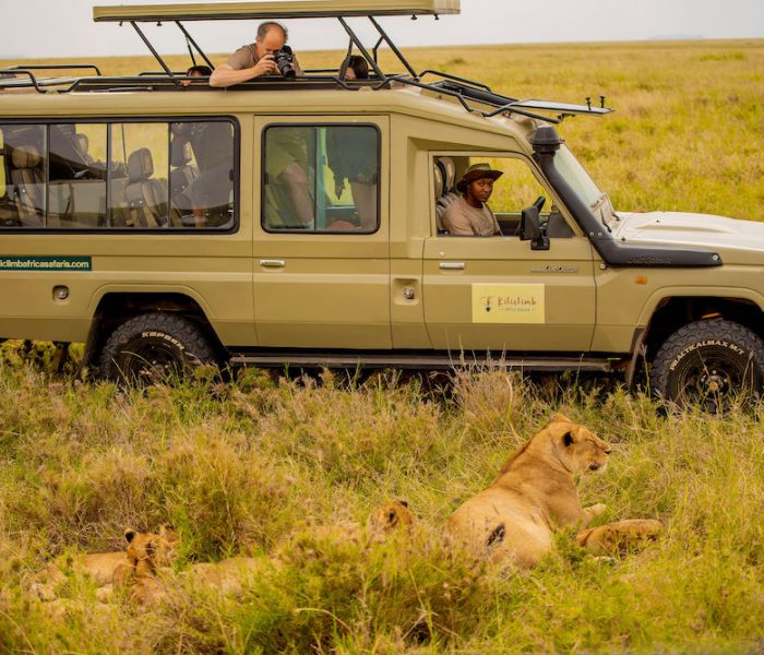 leopard tanzania luxury safari3
