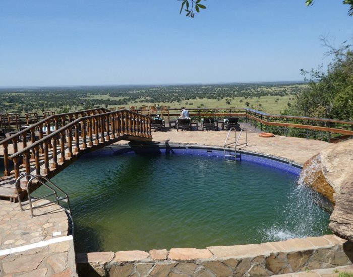 lobo wildlife lodge
