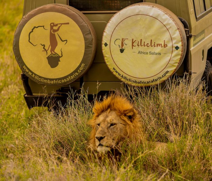 luxury tanzania safari1