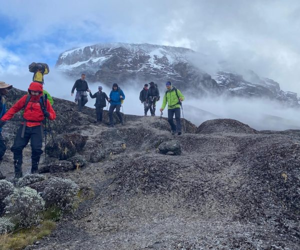 marangu route kilimanjaro trekking