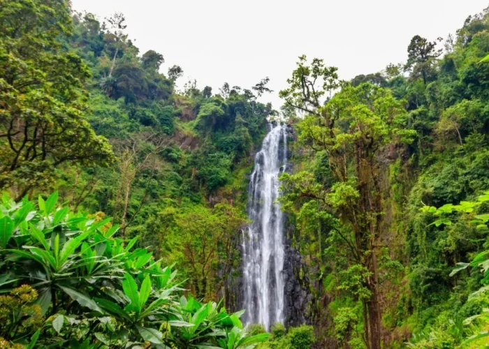 marangu warefall