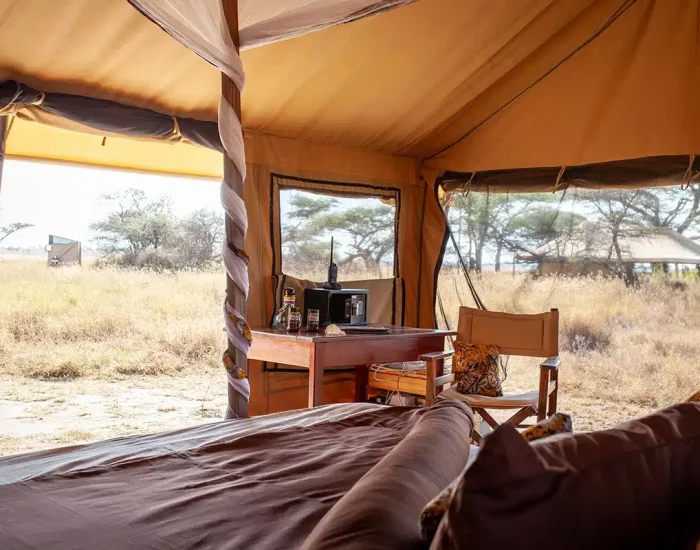 mawe bed view