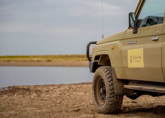 migration safari11