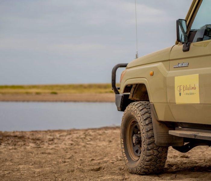 migration safari11