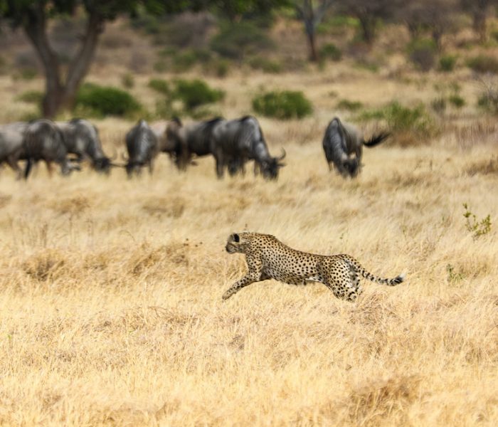 migration3