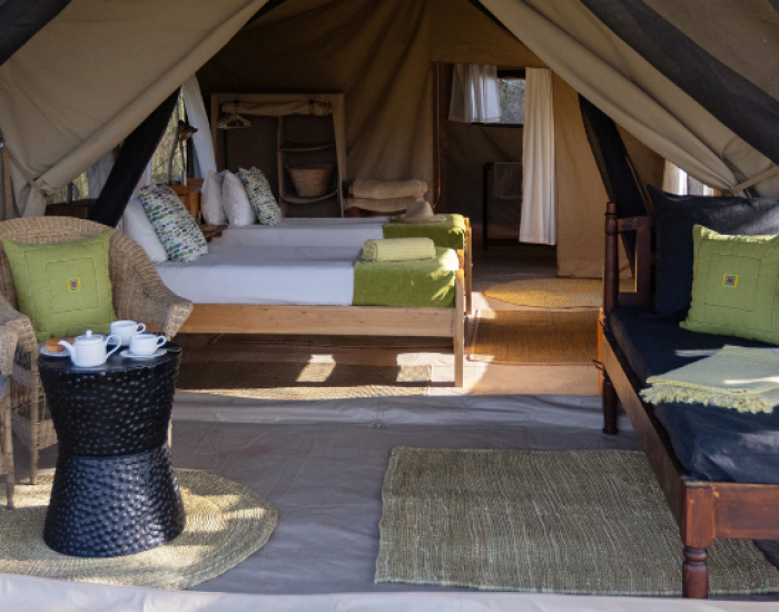 ndutu-wilderness-camp-safari- KILICLIMB AFRICA SAFARI