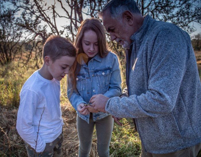 ngala-family-safari-wildchild-multigen-