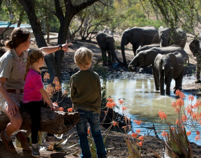 ngala-safari-kids-wildchild-elephants-