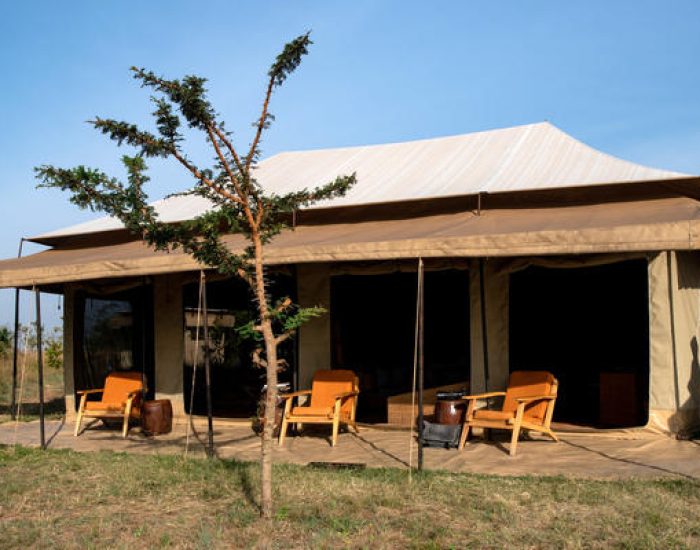 nyikani Migration Camp 65- KILICLIMB AFRICA SAFARIS