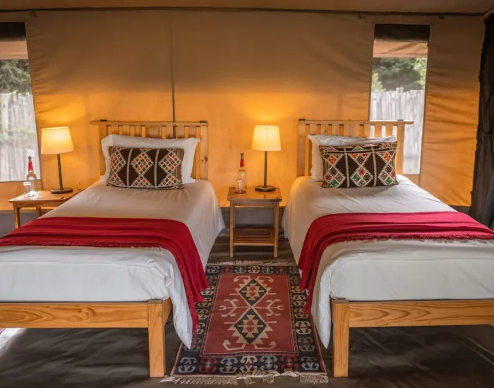 ol-pejeta-bush-camp-family-tent-kenya- Kiliclimb Africa Safaris