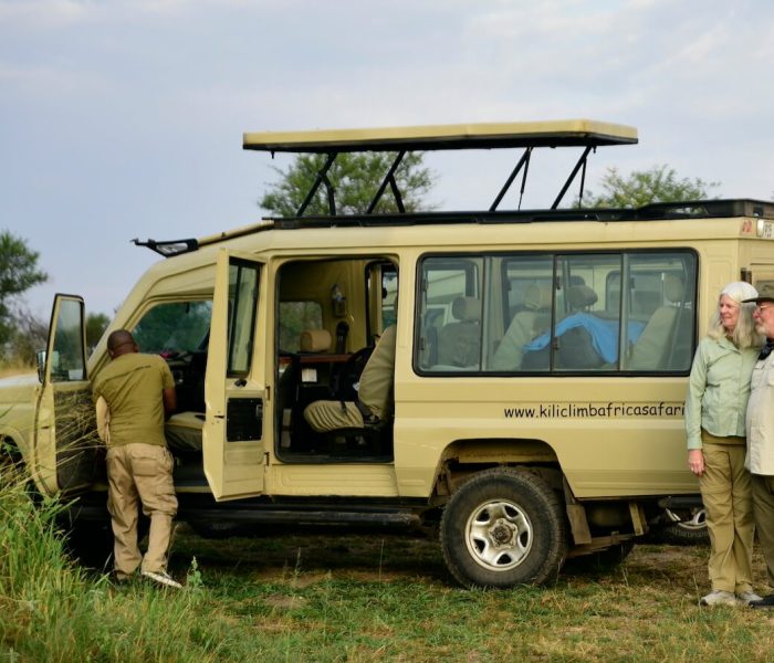 open safari car