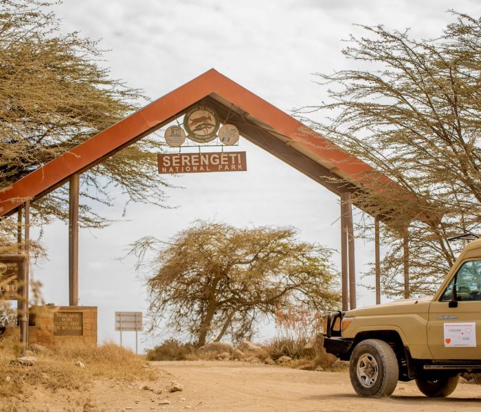 romantic safari