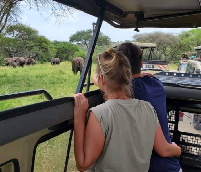 romantic safari
