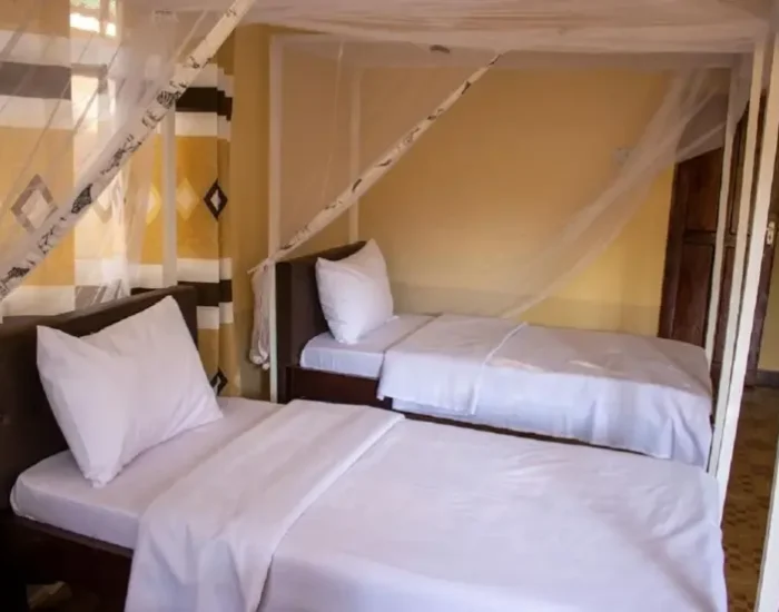 room Kilimanjaro Snow Peak Hotel