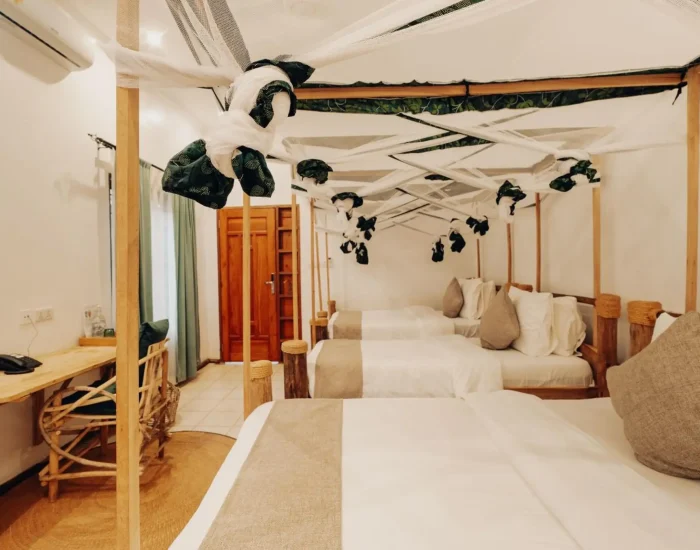 rooms chanya ardi moshi