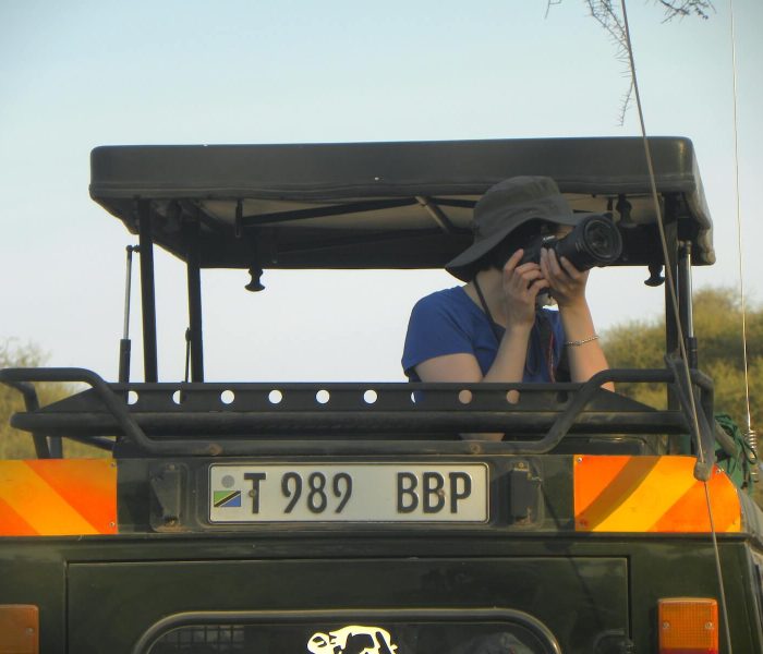 safari photographic