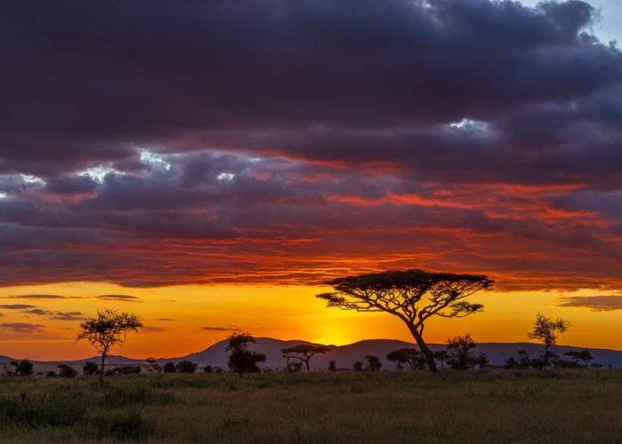 BARAKA BUSHCAMP IN SERENGETI