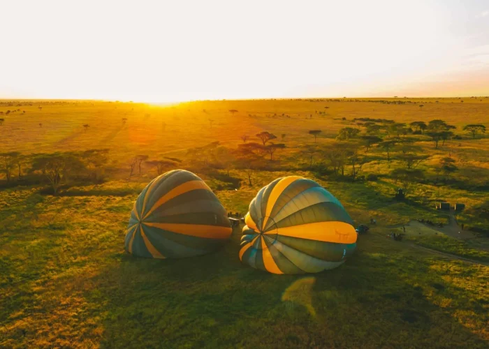 serengeti balloon