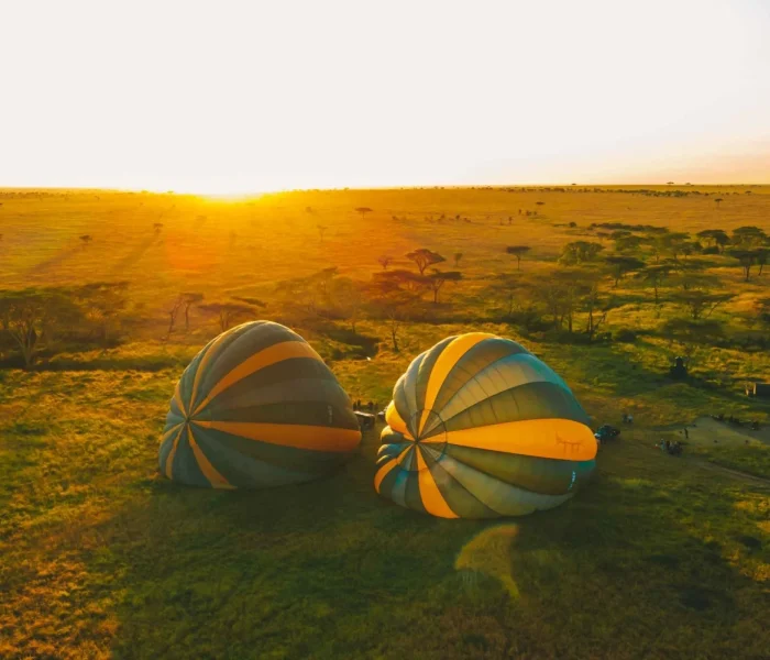 serengeti balloon