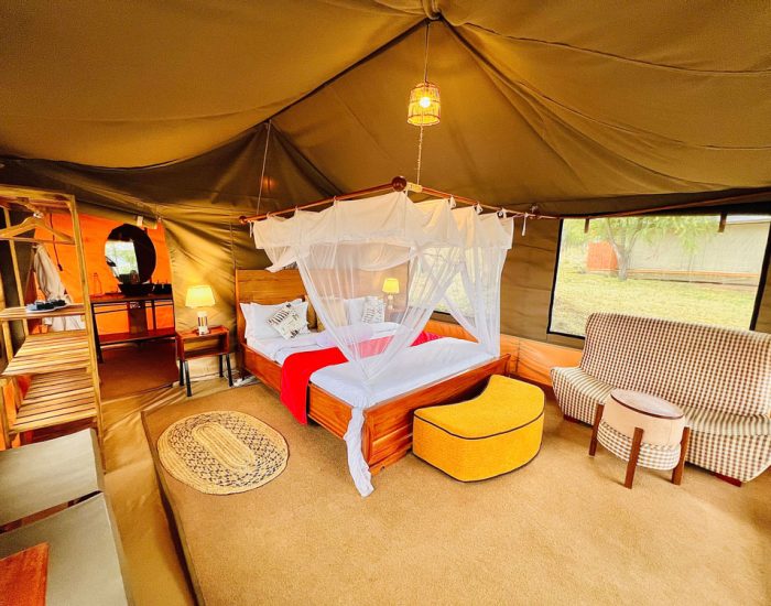 serengeti golden