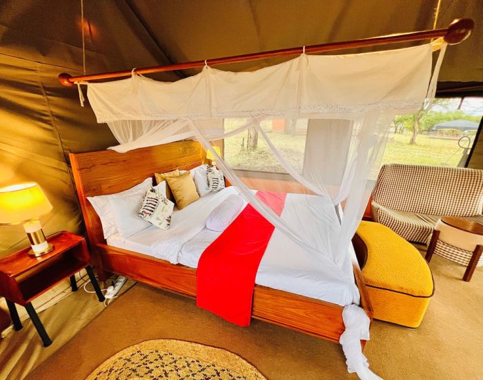 serengeti goldenn