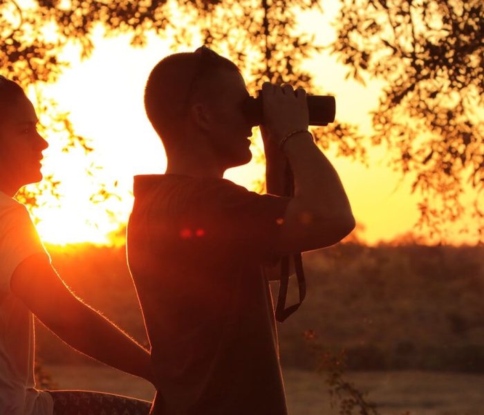 serengeti luxury safari