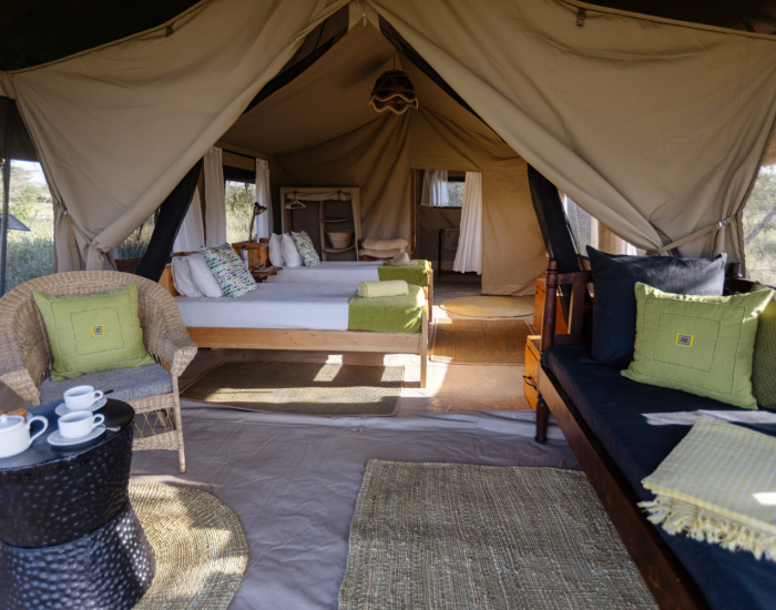 serengeti-north-wilderness-camp-safari-tent - KILICLIMB AFRICA SAFARIS
