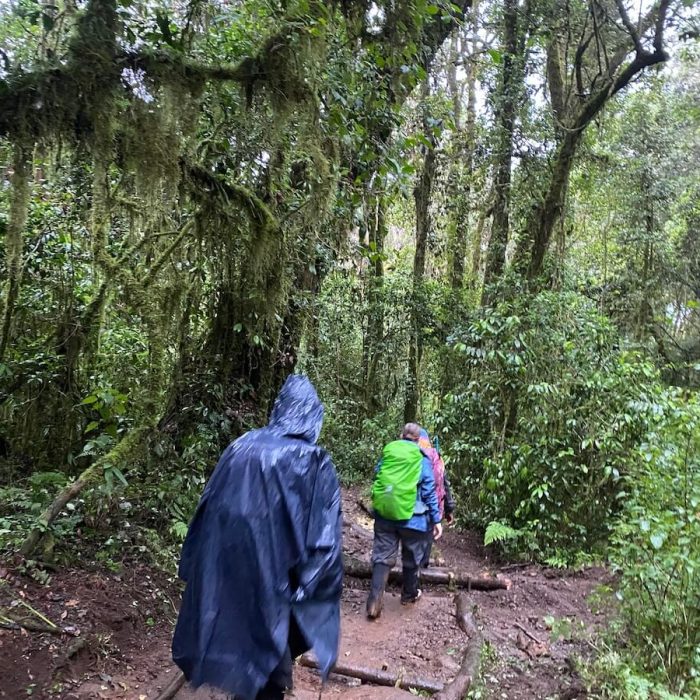 shira trekking kilimanjaro hiking