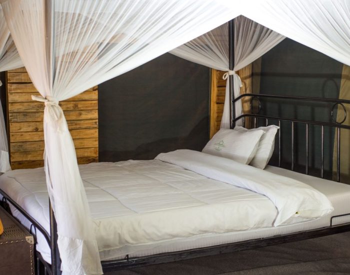 side-viewbed. HERII