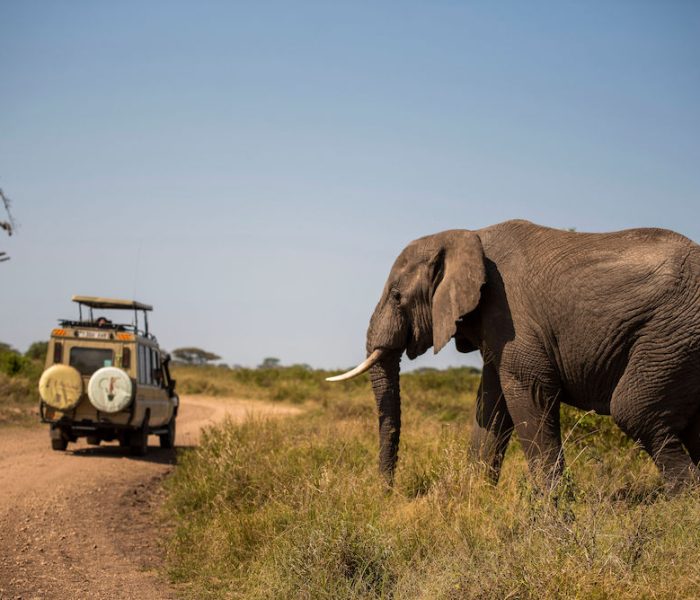 soul of tanzania4