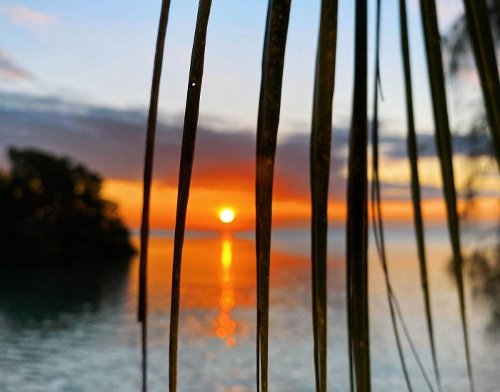sundowener