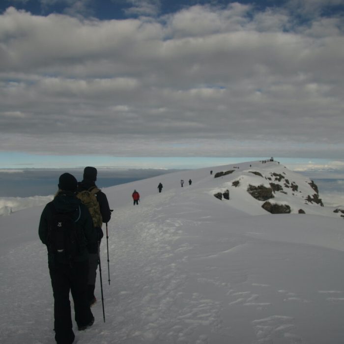 uhuru peak Rongai Trekking