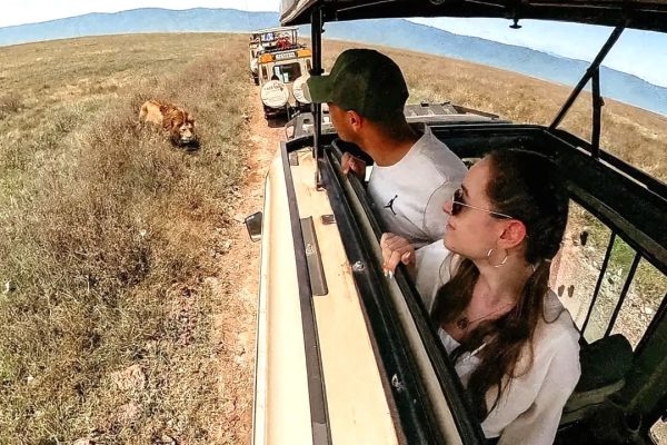 Safari Vehicles