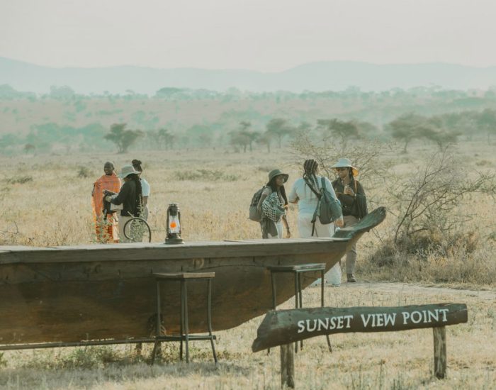 viewpoint.HERI